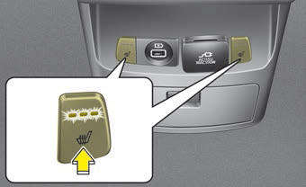 Kia Carnival: Seat warmer. Rear seat