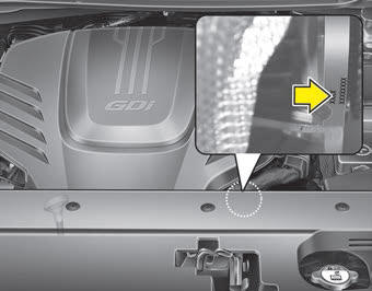 Kia Carnival: Engine number. The engine number is stamped on the engine block as shown in the drawing.