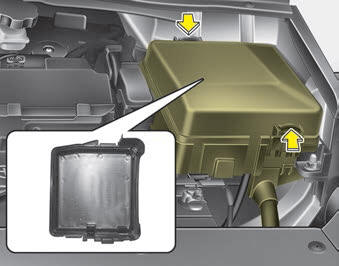 Kia Carnival: Fuse/relay panel description. 