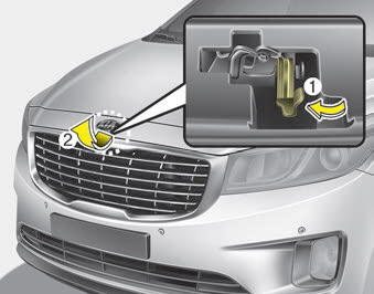 Kia Carnival: Opening the hood. 2. Go to the front of the vehicle, raise the hood slightly, pull up the secondary