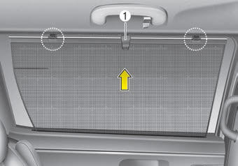 Kia Carnival: Side curtain. 