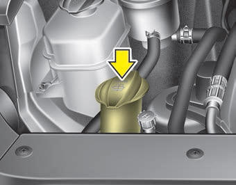 Kia Carnival: Checking the washer fluid level. The reservoir is translucent so that you can check the level with a quick visual